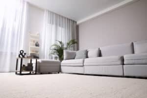 carpeted living room